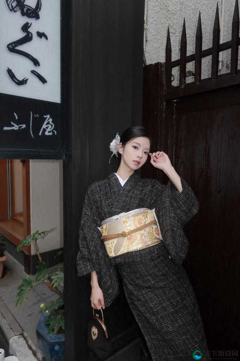 完整性中国 XXX 极品 HD：探寻中国文化中的极致之美