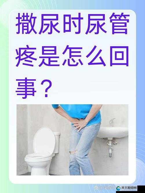 BBw 女厕 BB w 撒尿：探究女性生理与公共设施的关系