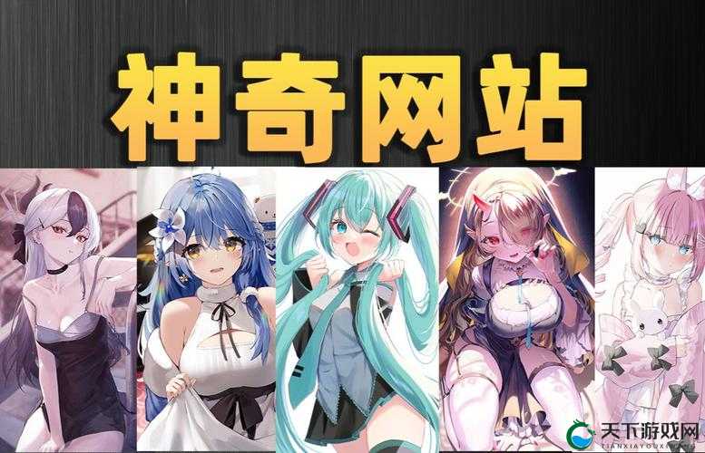 十八观看免费大全哔哩哔哩：满足您的多样观看需求