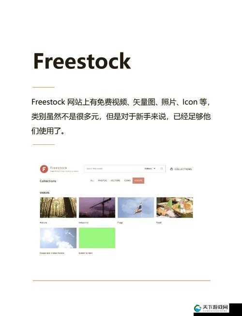探索 free 性满足 video 世界的无限可能：满足你的所有想象