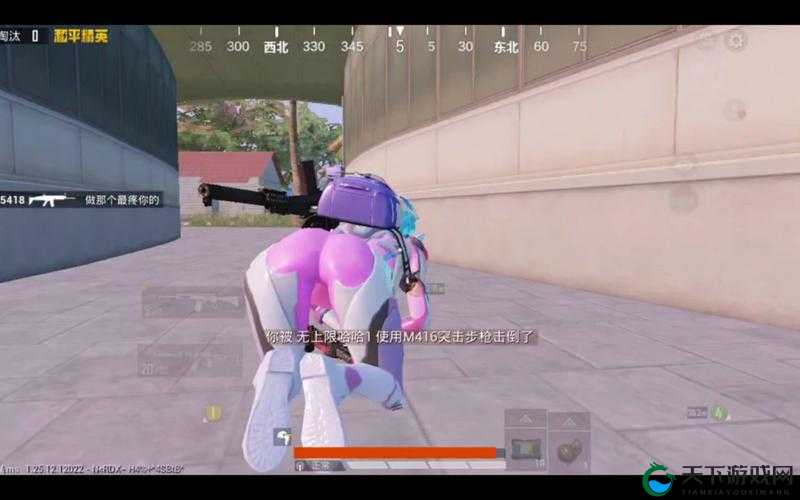 火箭少女拔萝卜免费：一场独特的娱乐盛宴来袭