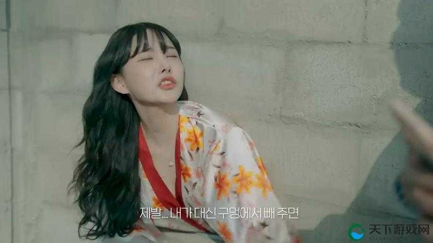 Another Girl in the Wall：她在那墙后的神秘故事