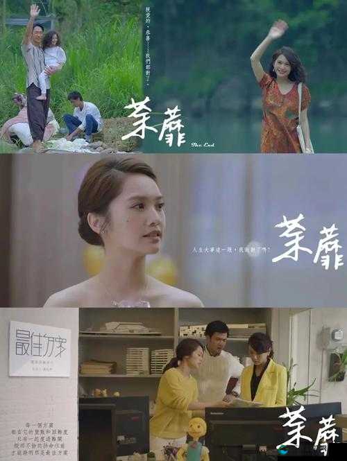 荼蘼人生：公交车上的白月与出租车里的命运交织