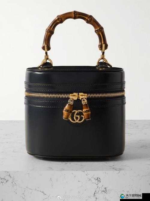 欧美 Gucci ：引领时尚潮流的经典奢侈品牌杰作