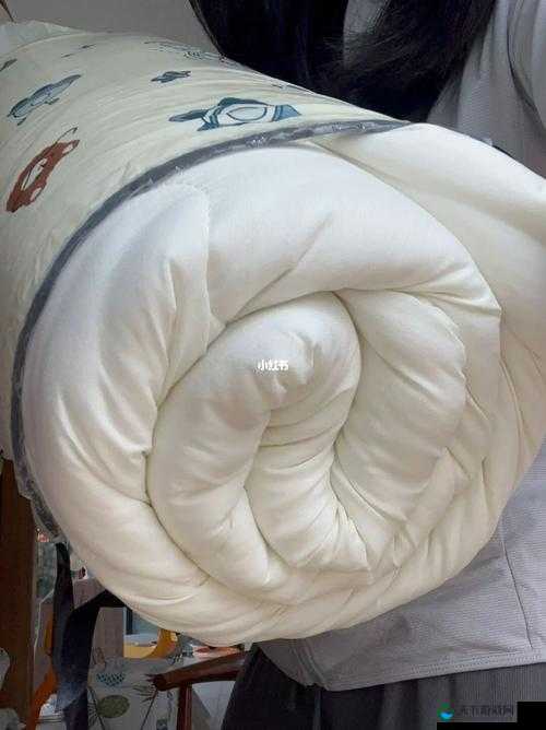 免费看裸体 裹被子：违背道德和法律的行为