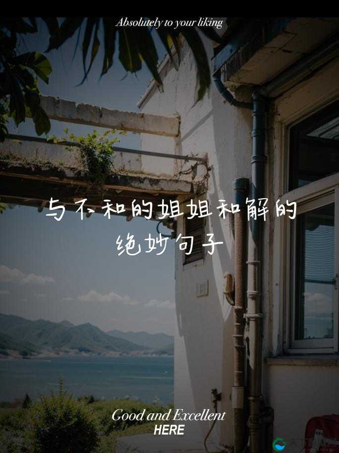 ：吴刚陆婷婷的情感纠葛：误会与和解