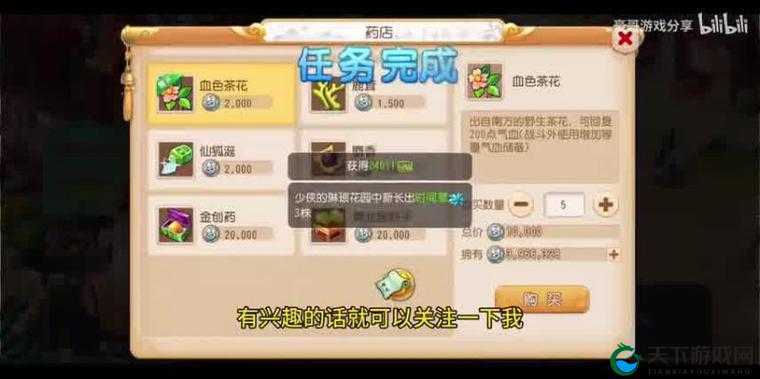 仙缘录手游商城，解锁你的奇幻之旅