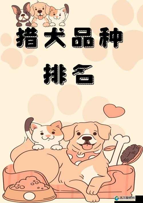 花妖,万金油宠物在天天萌宠中的能力解析