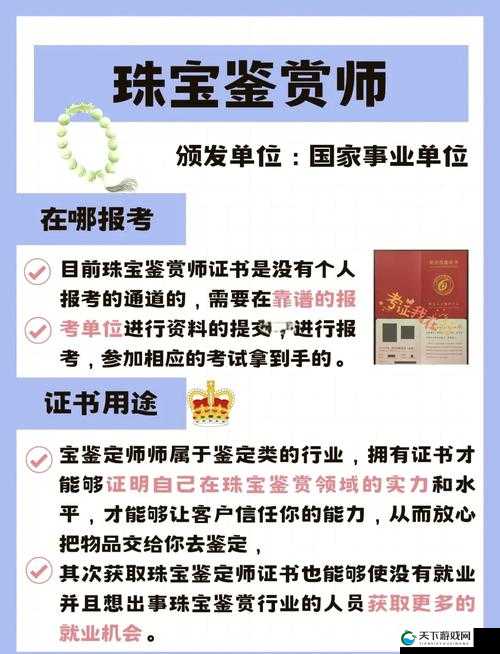 鉴定师 app 免费网站入口：开启专业鉴定之旅的便捷通道