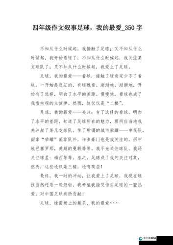 我的最爱：探索更多精彩，发现更多可能