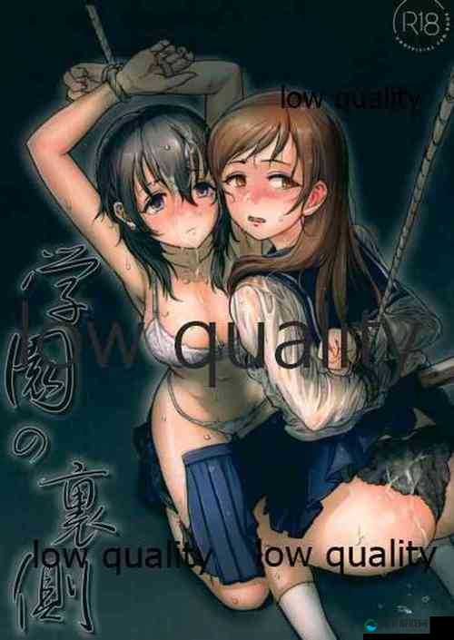 无尽 XXX 动漫 3D 同人精彩作品赏析及粉丝交流互动