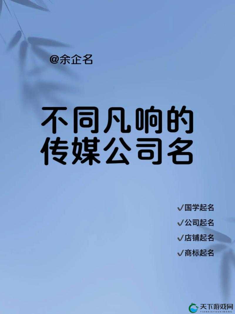 9986 传媒有限公司：打造创新与卓越的文化传媒先锋