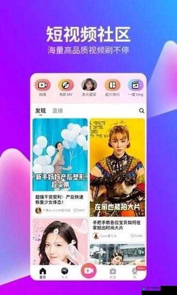 抖抈 APP 无限观看网站：畅享海量精彩视频资源