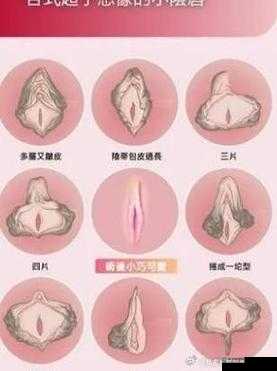 女性私密：探索性饥渴艳妇的情感世界