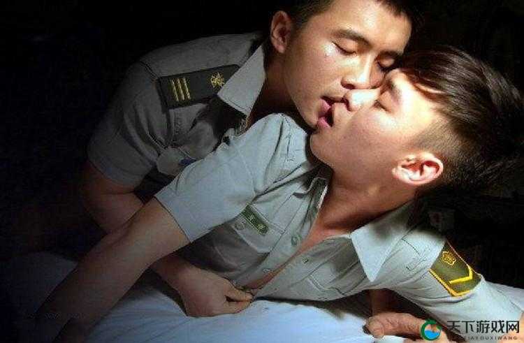 如何评价gay1069 台湾小白脸这一现象：探讨背后的原因和影响