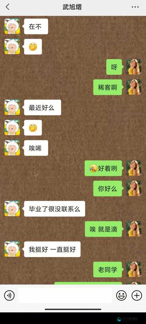 被多人玩弄的烂货苏妖精学生视频：不堪回首的堕落经历