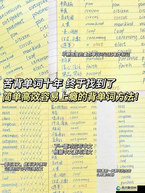 如何高效背单词：学霸的鸡上背单词双楠法