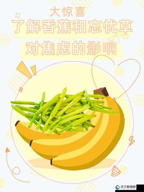香蕉和忘忧草对焦虑的影响成片已正式发布-快来一起了解详情