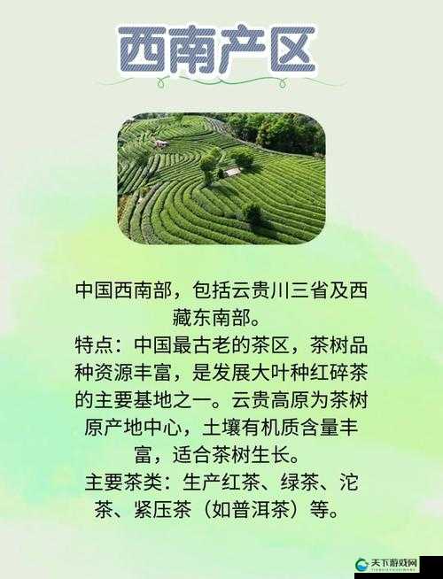 98 精产国品一二三产区区：品质卓越的产区探秘