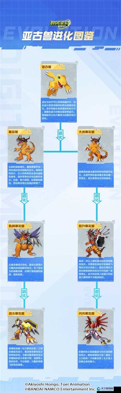 探秘数码世界的奇幻之旅，关键词的深度解析