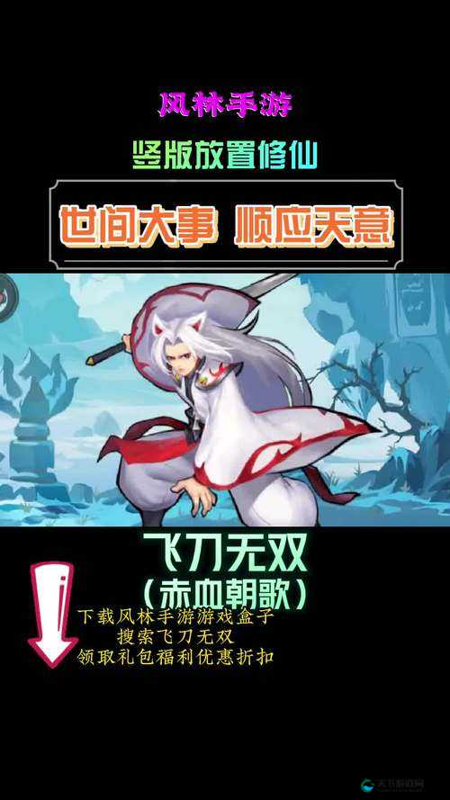 飞刀无双，斗技场深度攻略与奖励盛宴解析