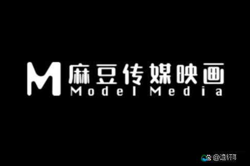 麻花豆传媒剧国产 MV 发展前景分析