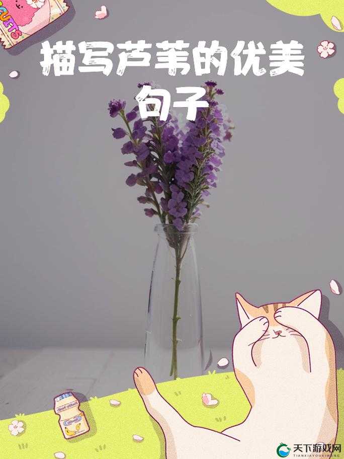 老狼老狼，芦苇芭蕉里的诗意与情怀