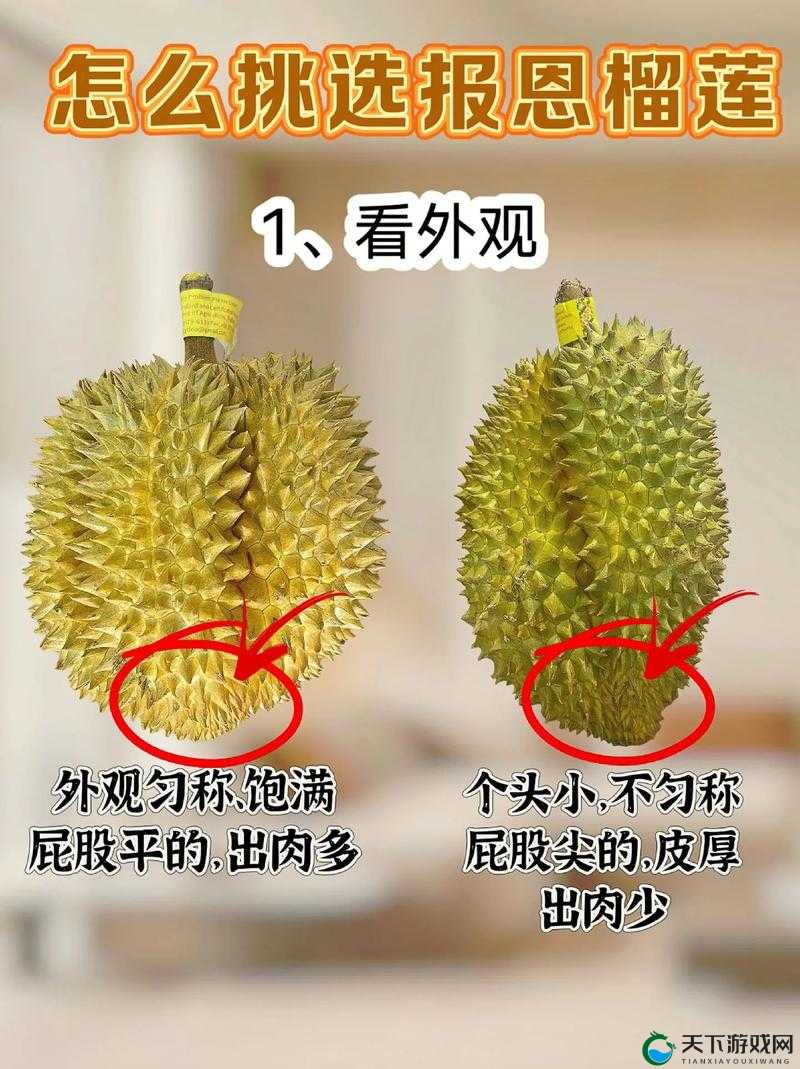 豆奶富二代榴莲草莓丝瓜：一场美味与财富的奇妙交织之旅