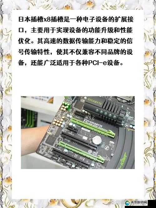 日本插槽 X8 插槽的具体使用方法及相关注意事项