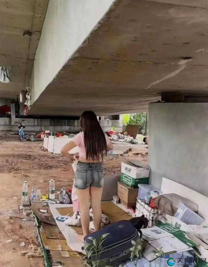 流浪汉把我拉进桥底免费阅读：一段惊悚神秘的经历