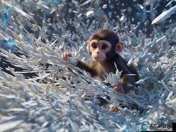 女生与男生共同孕育猴猴宝宝：奇特且引人深思的奇妙组合