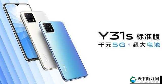 一级成色好的 y31s 标准版评测:全面解析其性能与特点