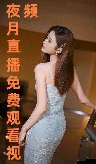 月夜直播在线看片 www：私密的夜之狂欢