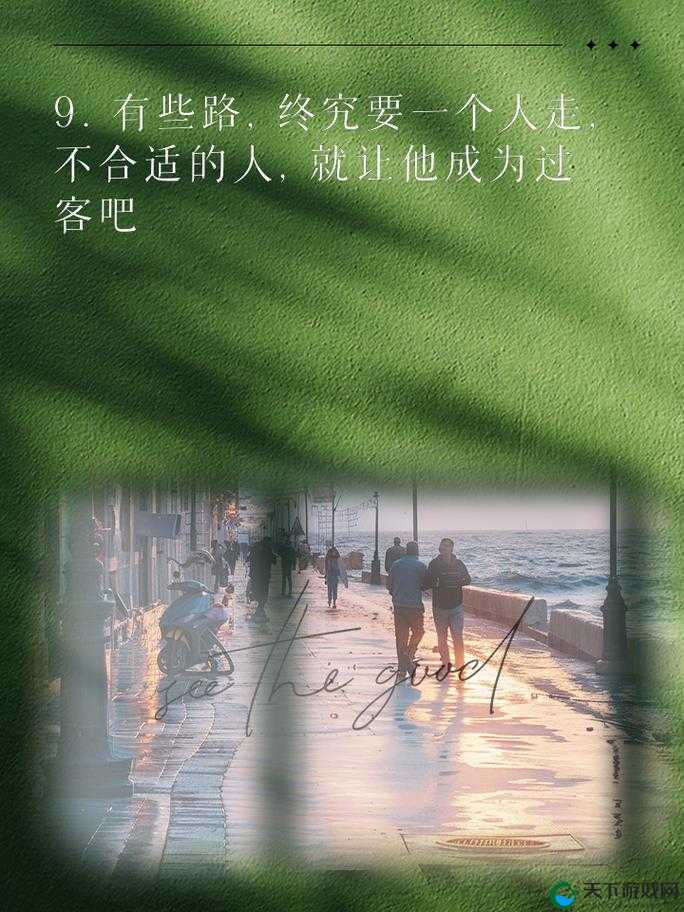 我们不合适 1v1 军婚：一段充满挑战与挣扎的情感旅程