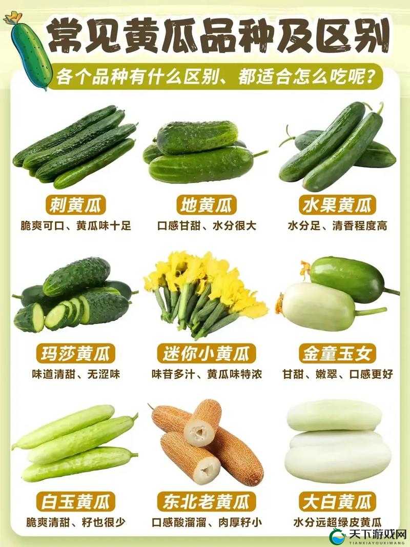 芒果草莓茄子丝瓜黄瓜 2 ：丰富蔬果带来的多彩生活体验