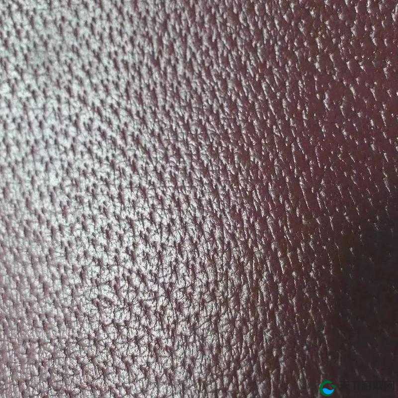 aaaa 级毛皮最火的一句不再限制出入：这意味着什么及影响分析
