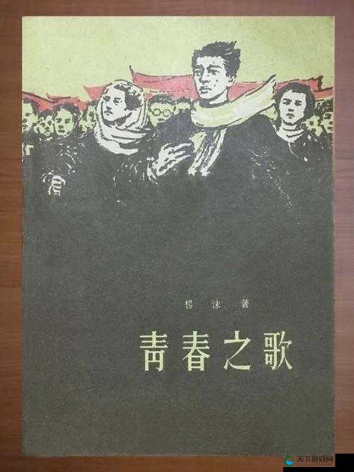 青春之歌：在天堂与现实之间的追寻