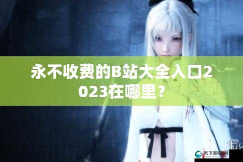b 站大全永不收费 2023 入口在哪详细探寻攻略