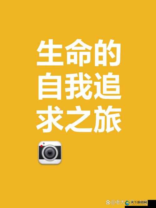 任他驰骋索取：在广阔天地中尽情释放自我与追求梦想