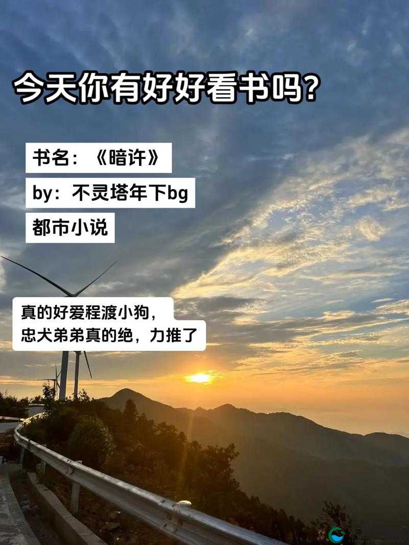 暗许 1v1 年下作者不灵塔 一部不容错过的精彩作品