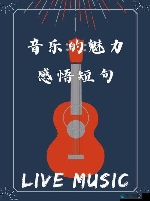毛多多 BGM:带你走进充满魅力的音乐世界之旅