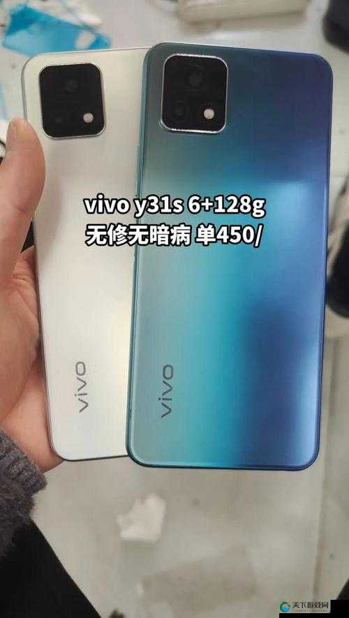 成色好的 y31 内容呈现多样化且极具吸引力