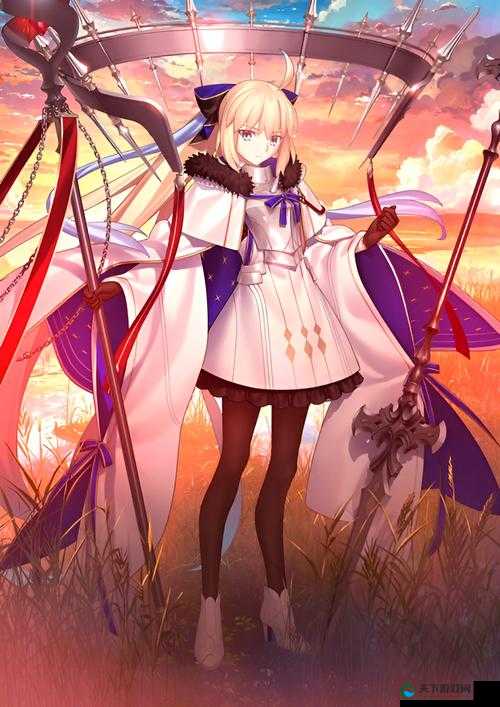 命运冠位指定FGO,光炮弓阶最强宝具深度点评