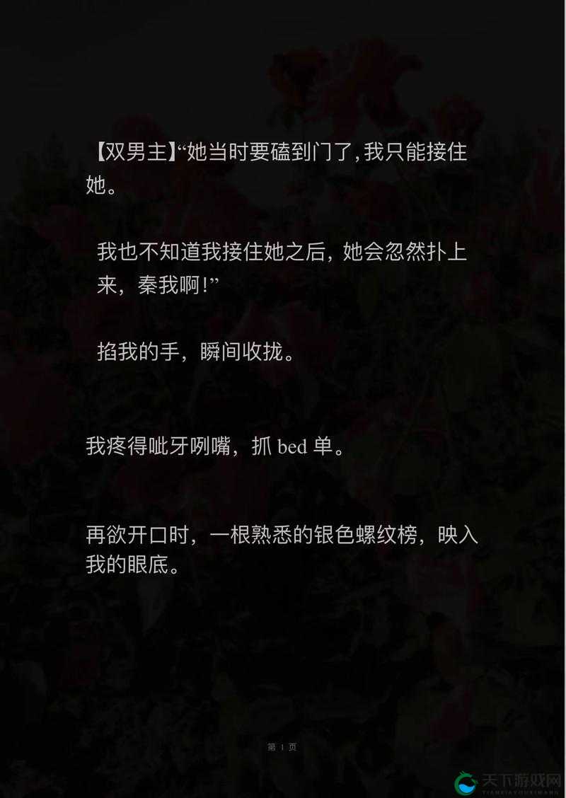 一上来就飙车的双男主小说推荐：这些小说你不容错过