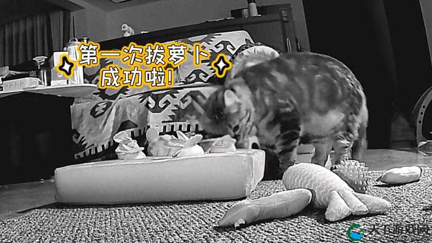 二人世界拔萝卜玩法：充满趣味与互动的欢乐游戏体验