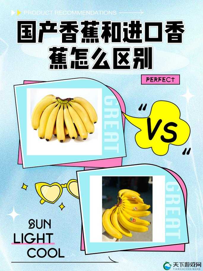 国产香蕉与进口香蕉价格比较及差异分析