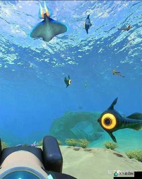 填得很满感觉知乎：知识的海洋尽情遨游
