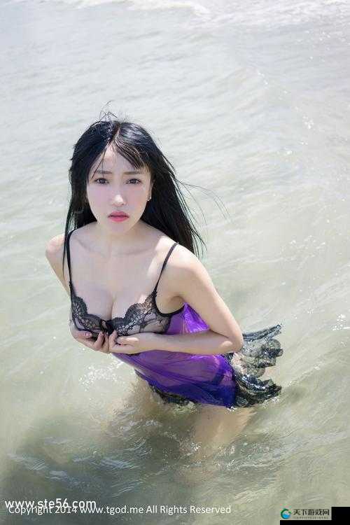 仙踪林老狼网站：探索神秘的奇幻世界