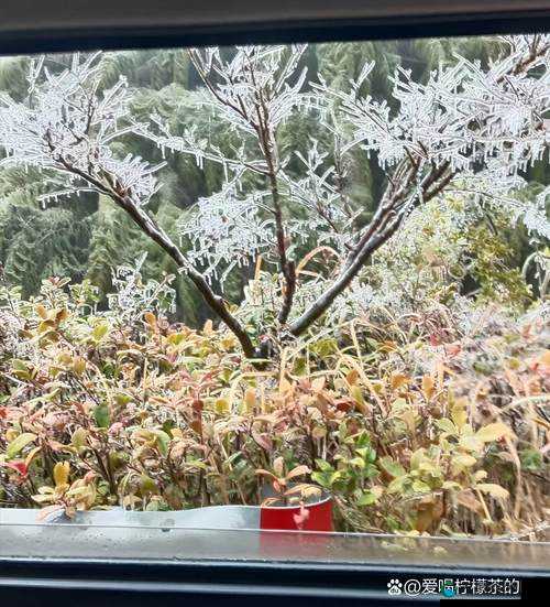 两团雪球在快速摇动：是大自然的奇妙景象还是未知的力量在驱动？