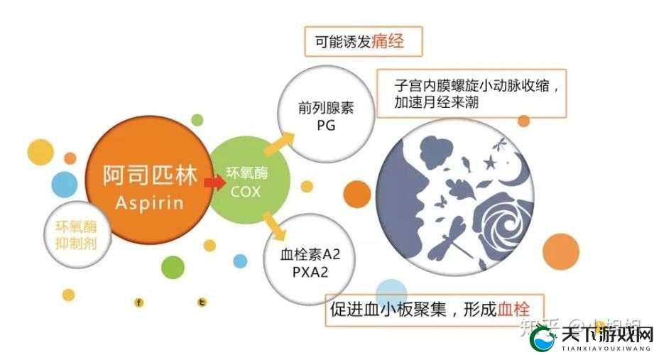 从裙摆到阿司匹林的秘密：女性身体与医学的历史